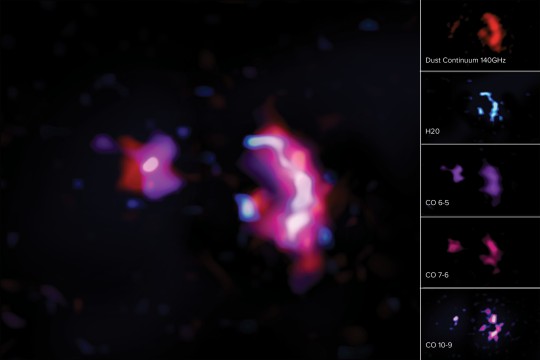 Líneas moleculares y continuo de polvo en observaciones de ALMA 