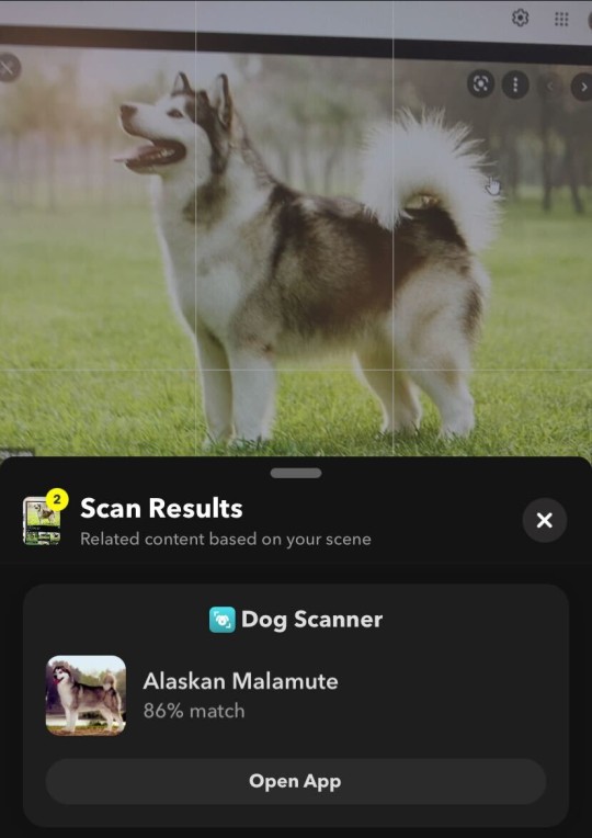 Escáneres de Snapchat para razas de perros